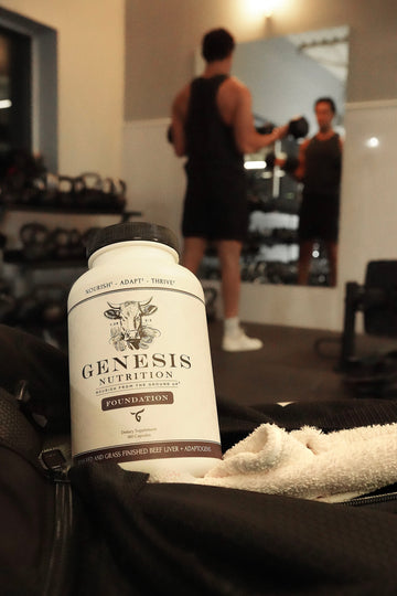 Beef Liver and Mitochondrial Health: Fueling Energy from the Inside Out